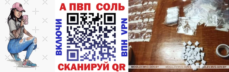 Alfa_PVP СК КРИС Сосновый Бор