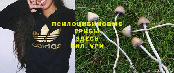 тгк Алексин