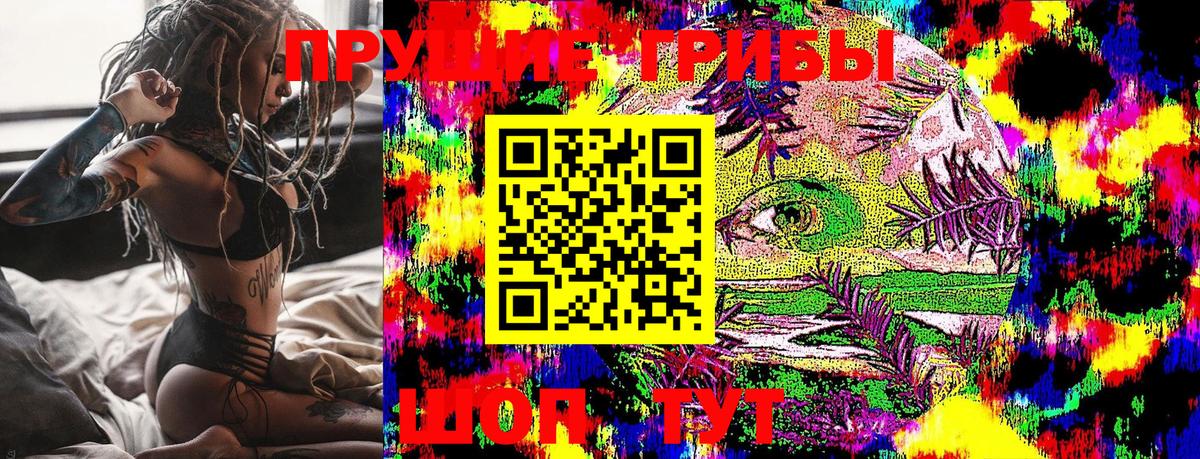 Галлюциногенные грибы MAGIC MUSHROOMS  Псилоцибиновые грибы ЛСД  Сосновый Бор  Вход с VPN 